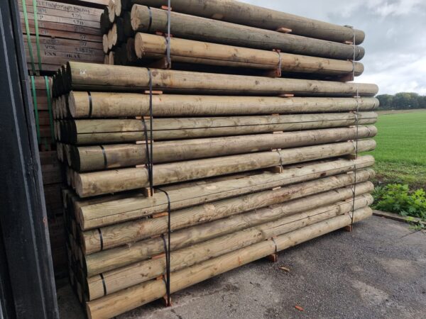 Ronde palen ø180mm - Afbeelding 2